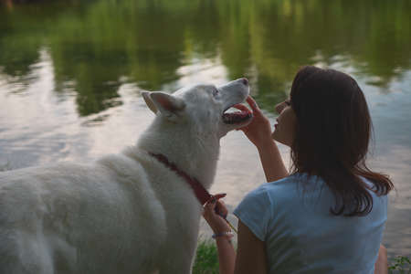 Smiling woman talking with her dog touching his face while resting near the water