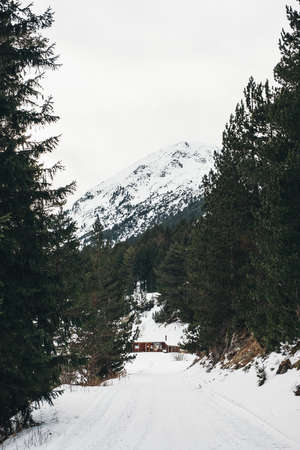Peek of the mountain seen from a snowy road.の写真素材