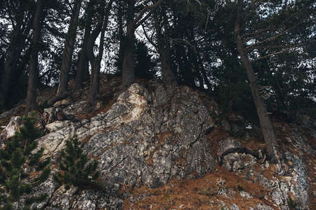View of mountains rock and raising trees, beautiful wonderland mountain scenery. down angle shotの写真素材