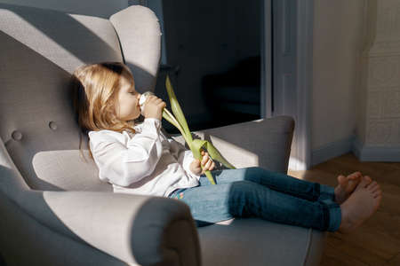 Portrait cute little girl lying in an armchair enjoying sunlight while smiling a spring white tulipの写真素材