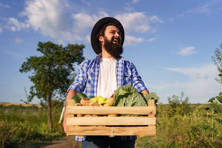 Farmer holds a wooden box with fresh veggies while walking in to his garden. Getting Ready for organic eco deliveryの写真素材