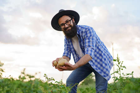 Organic vegetables. Farmers hands with freshly harvested vegetables. Fresh bio potatoesの写真素材