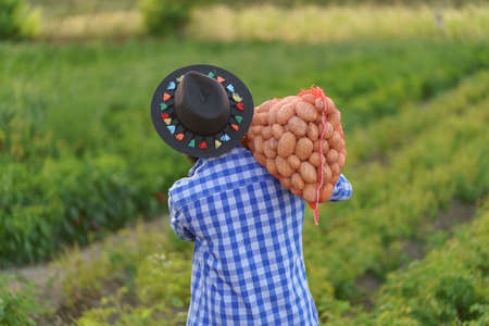 Smiling young farmer holding a sack of fresh potatoes on green potato field background.