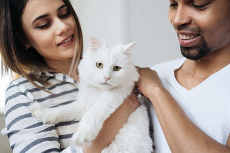 Lovely mixed-races young happy joyful couple male and female smiling in good mood resting at home in...