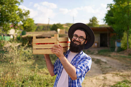Happy farmer holding harvested eco tomatoes walking with a full crate on hist shoulderの写真素材