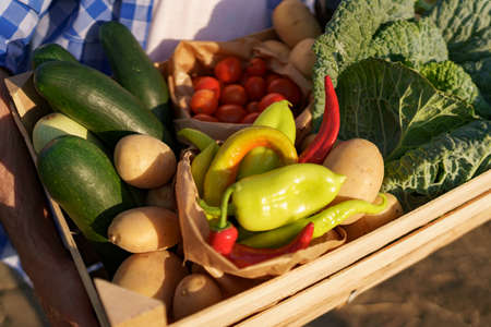Close up Farmer hands holds a wooden box with fresh veggies Getting Ready for organic eco delivery