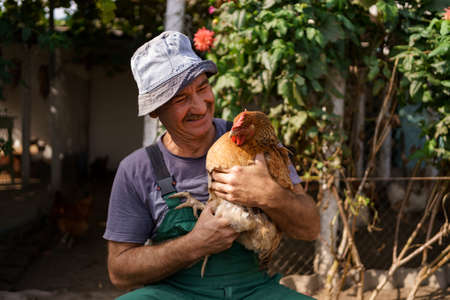 Portrait of happy caucasian farmer holding a brown hen outdoor. Smiling mature man with chicken in hand with copy space.の写真素材