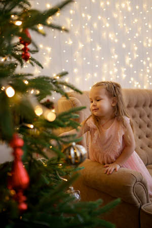 Little girl looking to a fir tree on Christmas tree making a wish while standing on sofa at home with lights in backgroundの写真素材