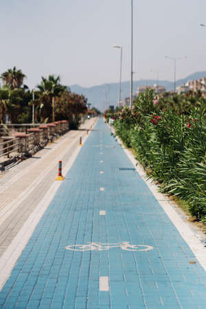 Symbol to indicate the road for bicycles. Blue path among green trees with blue sky on horizonの写真素材