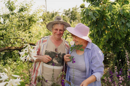 Lovely senior couple relaxing in the garden among trees and flowers. Happy life and healthy relationship. Beautiful familyの写真素材