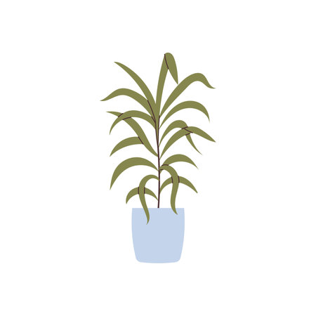 Hand drawn home plant element vectorのイラスト素材