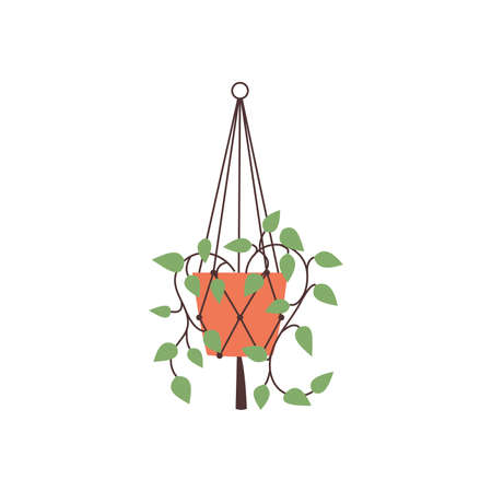 Hand drawn home plant element vectorのイラスト素材