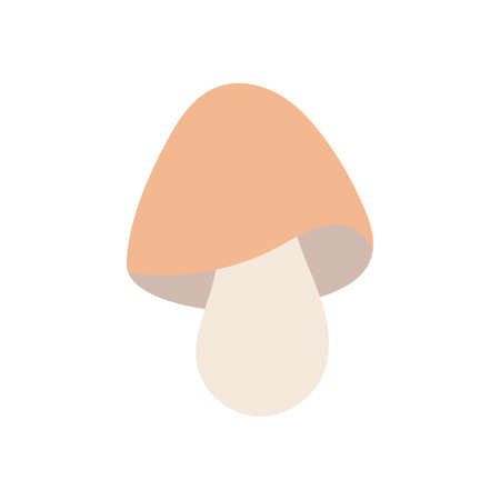 Hand drawn mushroom element vectorのイラスト素材
