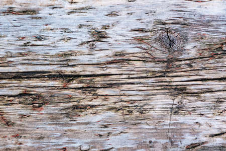 The texture of old wood, with cracks and traces. The texture of the wood of the old board.の写真素材