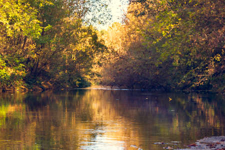 A fast, small river. The river flows among beautiful autumn trees, red, yellow, gold. Fast water, in the rays of the autumn sun, reflects September, October, November.の写真素材