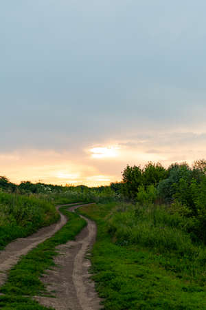 A road, among grasses and meadows, leading into the sunset. Amazing sunset colors, in the sky, and juicy green colors of herbs, on the ground.の写真素材