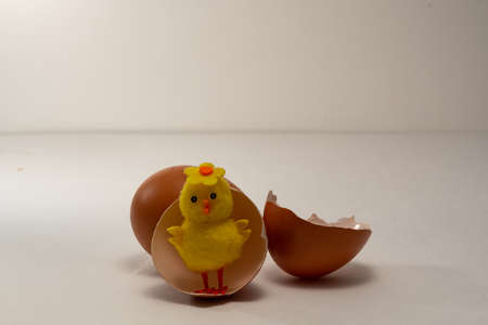 A toy chicken hatched from a brown egg. Two halves of a brown egg shell, in one half there is a toy chicken, next to it lies a whole egg.の写真素材