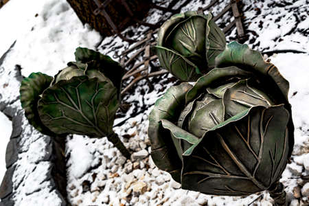 Cabbages forged from steel by skilled blacksmiths. A collection of forged sculptures of plants and animals, forged by skilled blacksmiths from steel.の写真素材