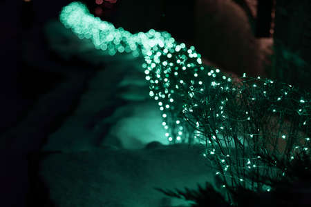 Bushes and plants are decorated with illumination and shine at night. Night, illumination, on the eve of the holidays. decorated shrubs with beautiful bokeh.の写真素材