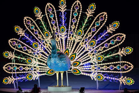A bright sculpture of a magical bird made of steel and glowing light bulbs. A bright glowing sculpture of a firebird, a peacock, glows at night.の写真素材