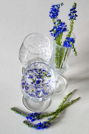 Blue flowers, on green stems, are arranged in crystal glasses. Crystal glasses filled with beautiful, small, blue flowers.の写真素材