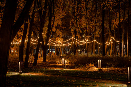 Bright garlands of light bulbs, on trees in a night park. The night park is decorated with beautiful garlands that hang on trees.の写真素材