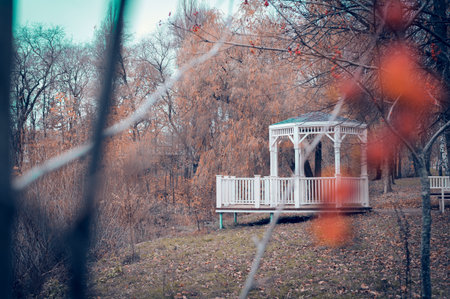 A white rotunda, with a green roof, in the park, on the shore of a small quiet pond. A quiet, small pond, with a beautiful white rotunda on the shore.