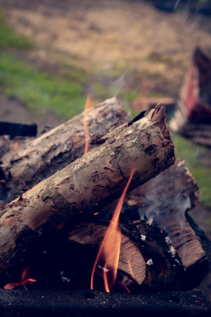 The firewood of fruit trees burns with a hot flame in the grill. A wood-fired fruit tree grill with a bright hot flame.の写真素材
