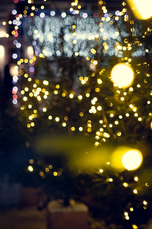 New Year's garlands are strung among the branches of New Year's trees. A bright bokeh of the lights of New Year's garlands.の写真素材