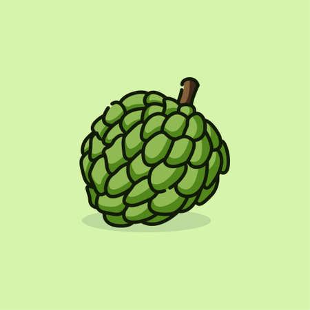 Illustration vector graphic of Custard Apple. Custard Apple minimalist style isolated on a green background. The illustration is Suitable for Banner, flyers, stickers, etc.のイラスト素材