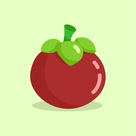Illustration vector graphic of Mangosteen. Mangosteen flat style isolated on a green background. The illustration is suitable for web landing page banners, flyers, stickers, cards, etc.のイラスト素材