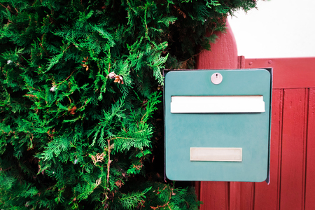 Green vintage mailbox on a red wooden fence with fluffy thuyaの写真素材