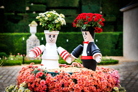 Floral pots represent groom and bride. Funny colorful composition in a beautiful garden.の写真素材