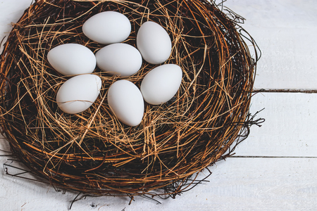 Easter eggs in the nest on rustic wooden background.の写真素材