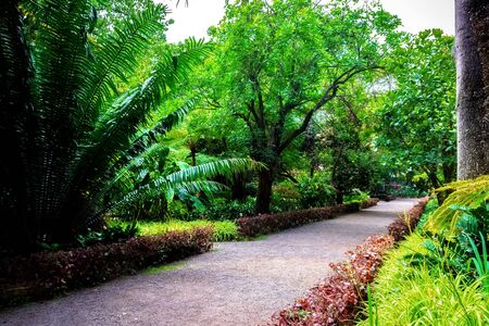 Close up portrait of beautiful flowers in botanical gardenの写真素材