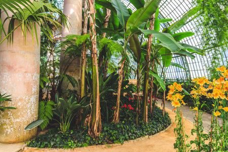 A winding path leads through a verdant botanical garden filled with exotic flora and towering banana trees under a glass roof
