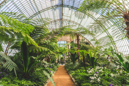 A sunlit pathway winds through a vast, ornate glasshouse filled with diverse exotic flora and towering tree ferns