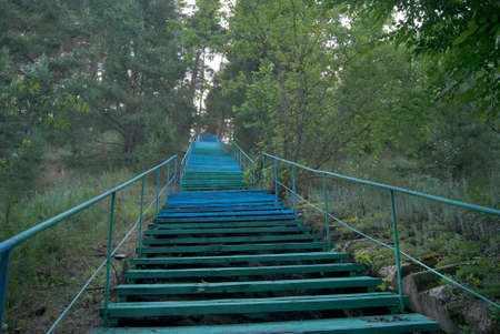 Stairs in the forestの写真素材