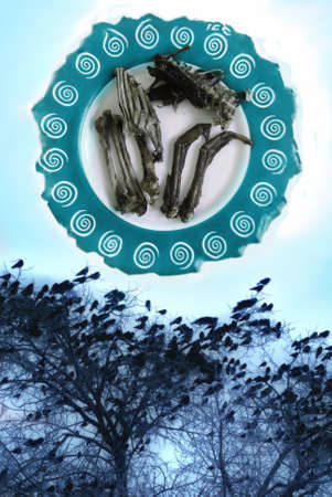 Abstraction. Birds and bones. Bird-god.の写真素材