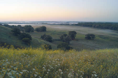 Morning pre-dawn scenery of the misty valley.の写真素材
