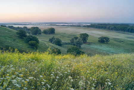 Morning pre-dawn scenery of the misty valley.の写真素材
