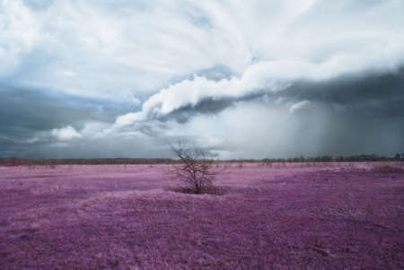 The storm is coming to the valley.の写真素材