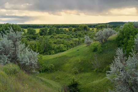 Cloudy scenic hills, overgrown with lush vegetationの写真素材