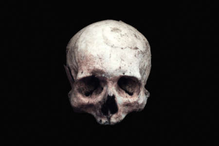 Real human skull on an isolated black backgroundの写真素材