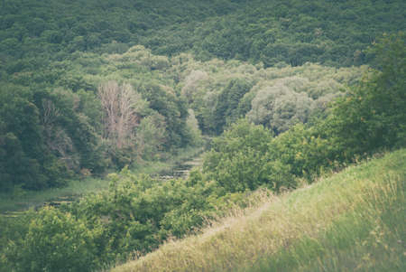 Forest gorge at the foot of the hillsの写真素材