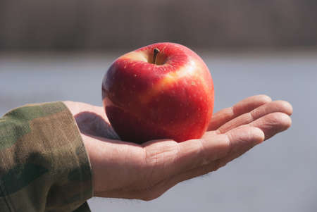Red young juicy solid fruit apple under sunlight on a mens old hand of an elderly man, against background a lake water. Concept of a natural nutrition organic healthy food diet.の写真素材
