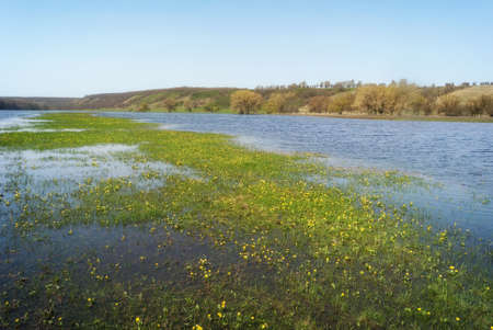 Meadows and pastures in hilly valley flooded with a spring river stream. Flower island islet in the...