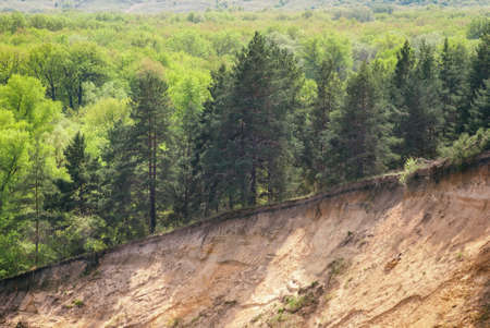 A warm spring day in the forest valley of the Russian river with a steep sandy slopeの写真素材