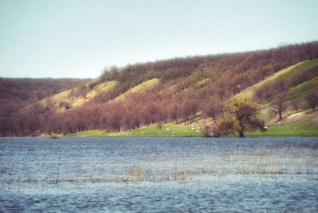 Meadows and pastures in hilly valley flooded with a spring river stream.