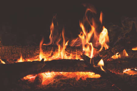 Evening bonfire with sparks close-up in the dense forests of Russia, hiking camping.